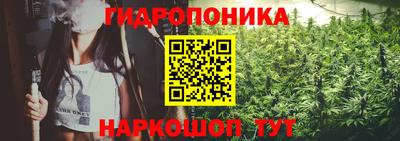 шишки Заводоуковск