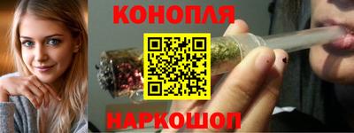 шишки Заводоуковск