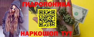 шишки Заводоуковск